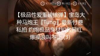 【极品性爱重磅核弹】宝岛大种马炮王『Tung』最新付费私拍 约炮极品身材知名网红 爆操浪叫不止 (3)