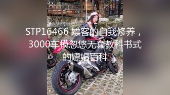 STP16466 嫖客的自我修养，3000车模忽悠无套教科书式的嫖娼百科