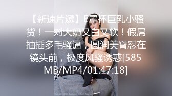 人妖系列之温馨大床豹纹内衣人妖享受口交带来的快感后入插插呻吟更是高潮诱人不一样的诱惑